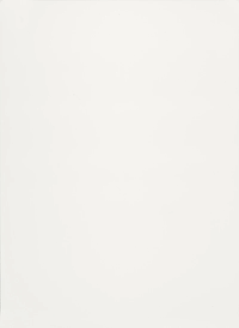 Alaska White PVC decorative membrane foil swatch texture