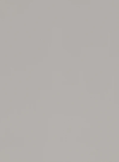 Beige 318 PVC decorative membrane foil 0.35mm