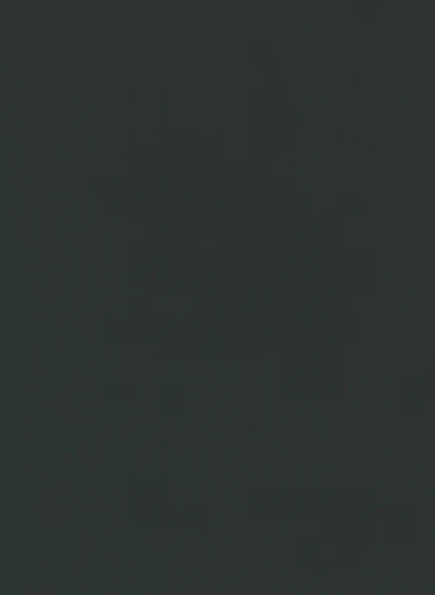 Oliva PVC decorative membrane foil 0.35mm