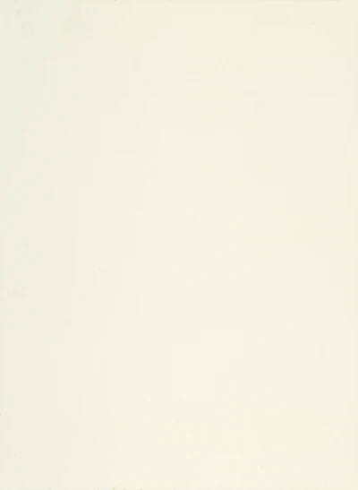 White Nubuck PVC decorative membrane foil 0.35mm